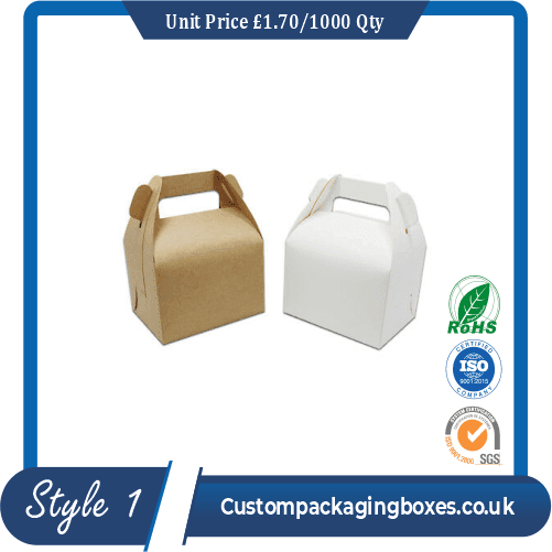 Carrying Case Box With Handle
