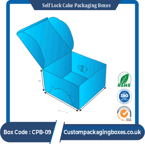 Self Lock Cake Packaging Boxes